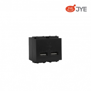 Ổ cắm USB đôi JY-E1840-G