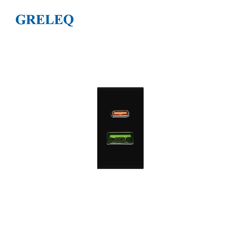 Ổ cắm USB + Type C G11-009UCSA-B