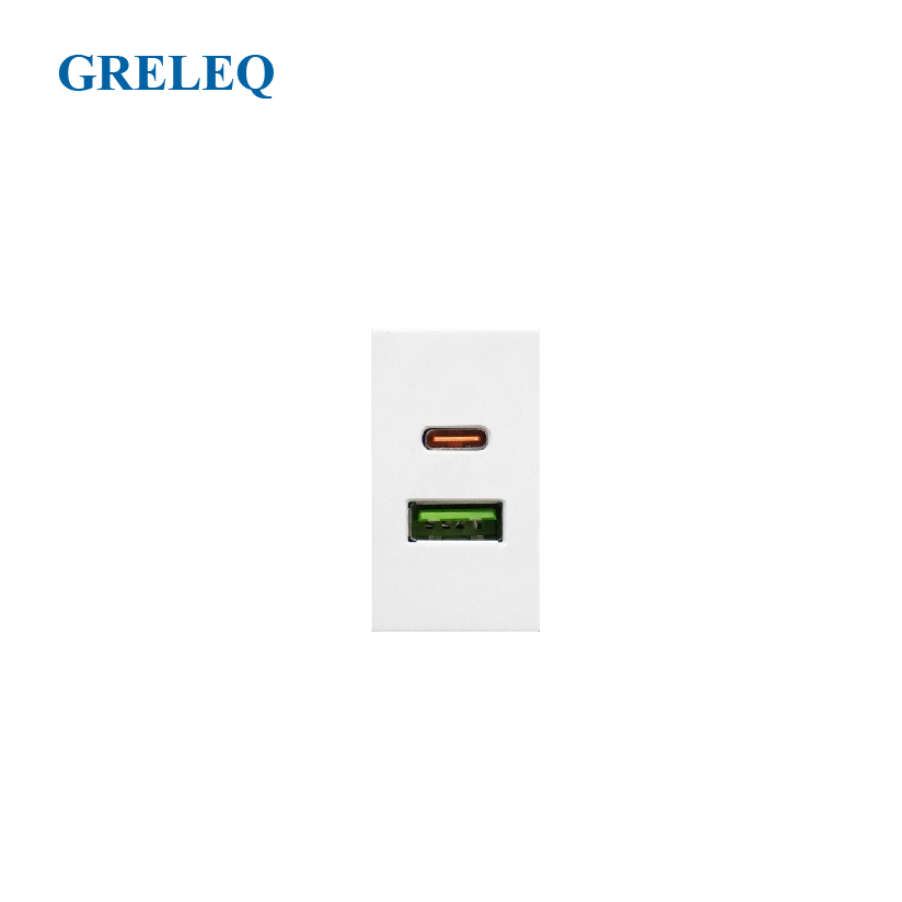 Ổ cắm USB + Type C G2-009UCSA-W
