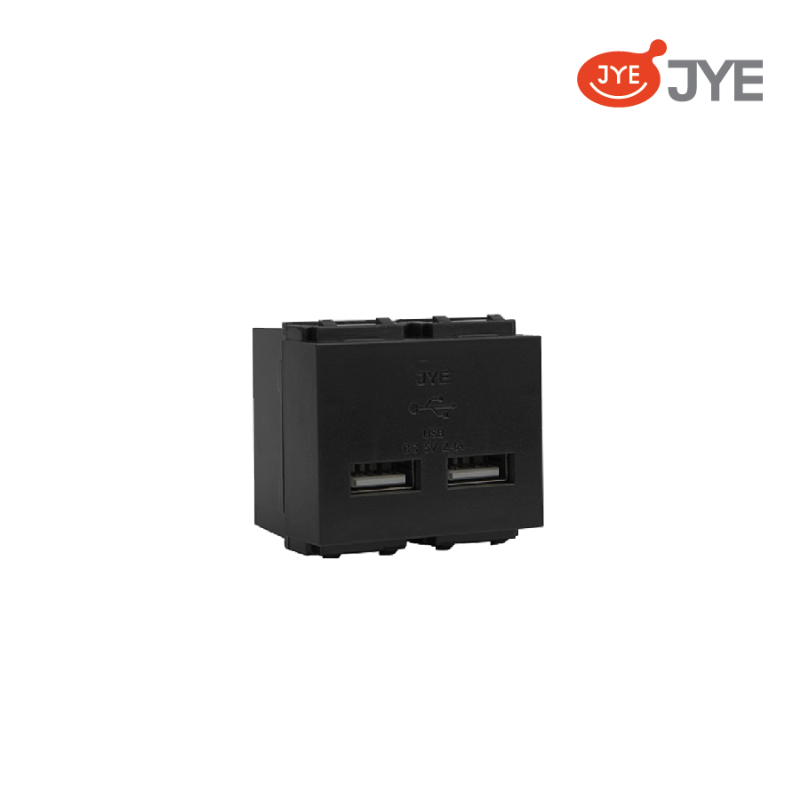 Ổ cắm USB đôi JY-E1840-G